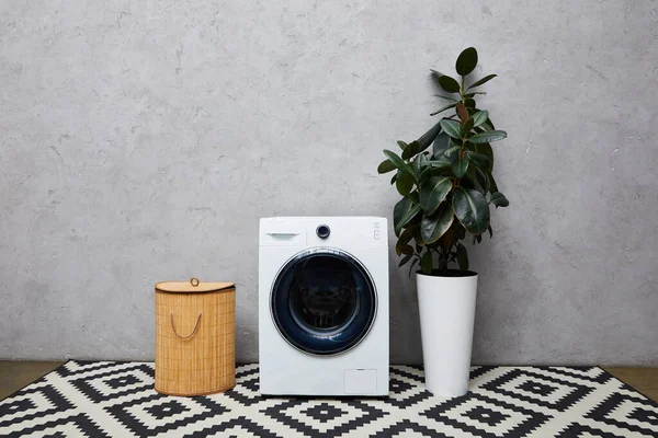 Washing Machine Green Plant Laundry Basket Ornamental Carpet Modern Bathroom — Stock Photo, Image