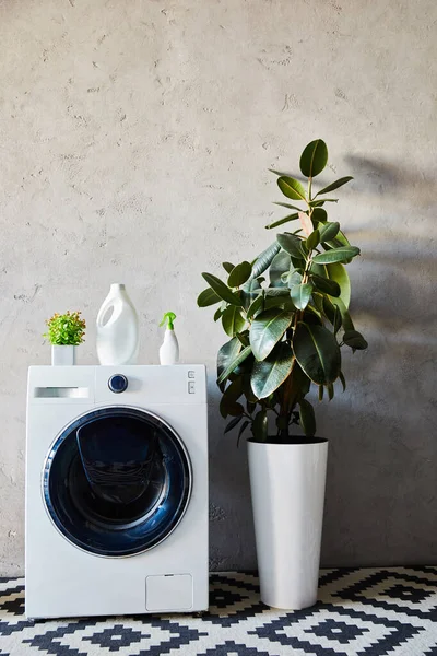 Planta Botellas Lavadora Blanca Cerca Alfombra Ornamental Baño Moderno — Foto de Stock