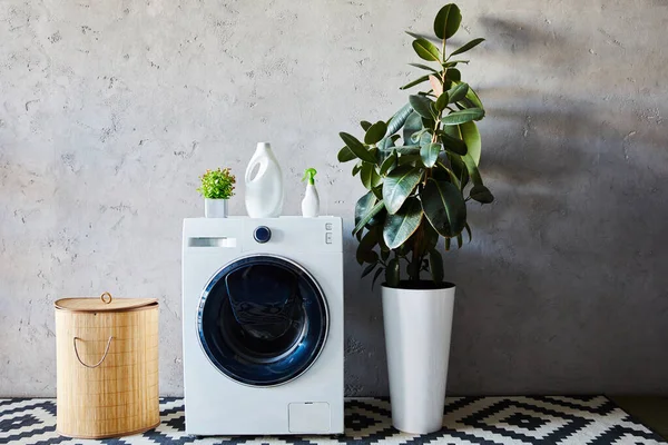 detergent and spray bottles on washing machine near plant, laundry basket and ornamental carpet in modern bathroom