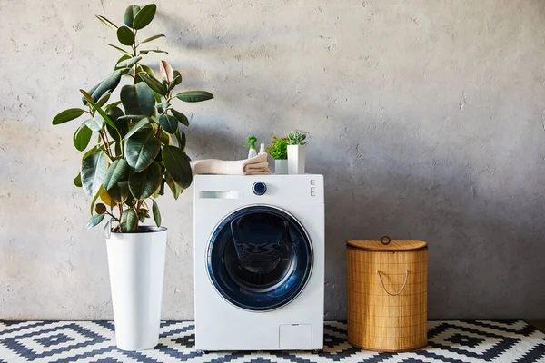 green plants, towel and bottles on washing machine near laundry basket and ornamental carpet in bathroom