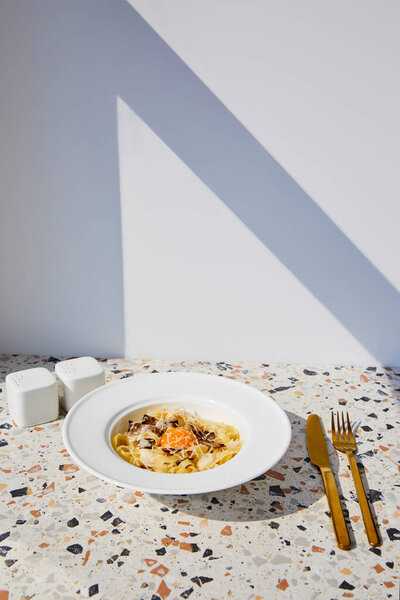 delicious pasta carbonara served with golden cutlery, salt and pepper shakers on stone table in sunlight