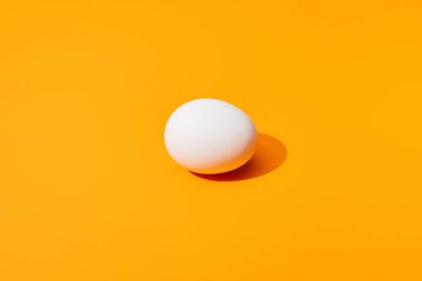 fresh white chicken egg on orange colorful background clipart