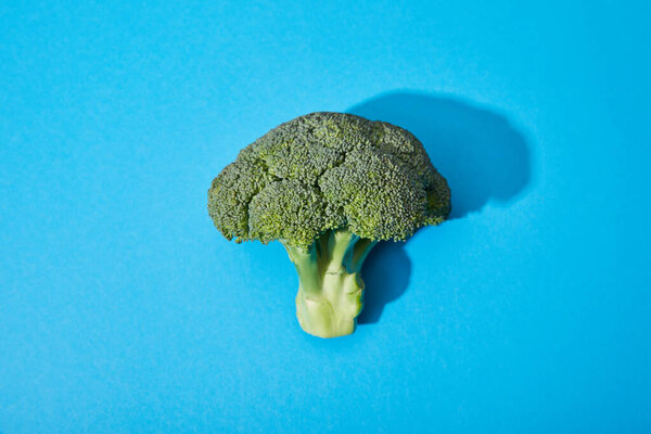 top view of fresh green broccoli on blue background