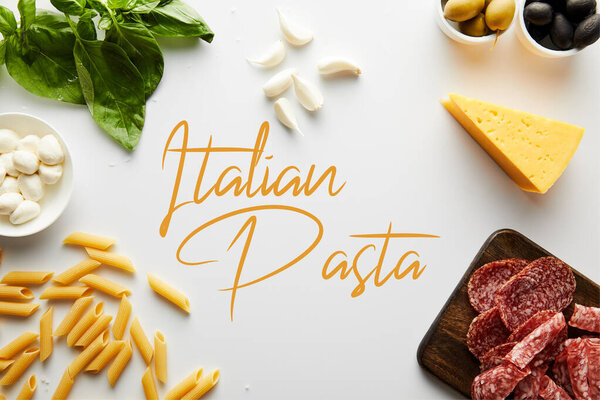 Top view of pasta, meat platter, cheese and ingredients on white background, italian pasta illustration