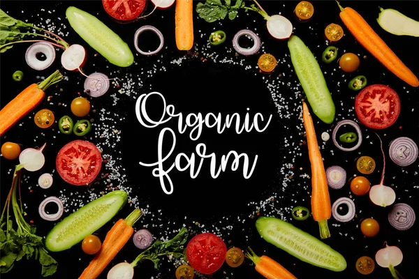 top view of fresh vegetable slices with salt with organic farm illustration isolated on black 