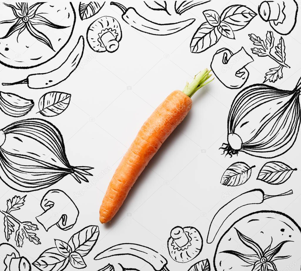 top view of delicious ripe carrot on white background with black vegetables illustration