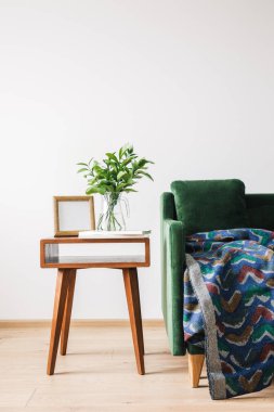 Yastıklı ve battaniyeli yeşil kanepe ahşap sehpanın yanında yeşil bitki, kitaplar ve fotoğraf çerçeveli.