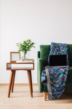 Yeşil bitki, kitap ve fotoğraf çerçeveli ahşap sehpanın yanında battaniyeli ve dizüstü bilgisayarlı yeşil kanepe.