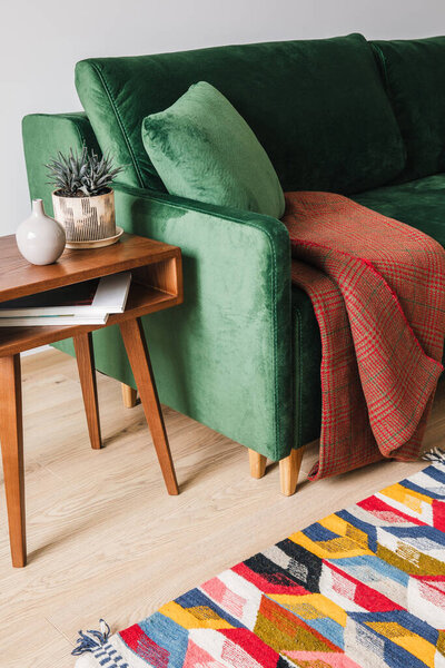 green sofa with pillow and blanket near wooden coffee table with plant and colorful rug