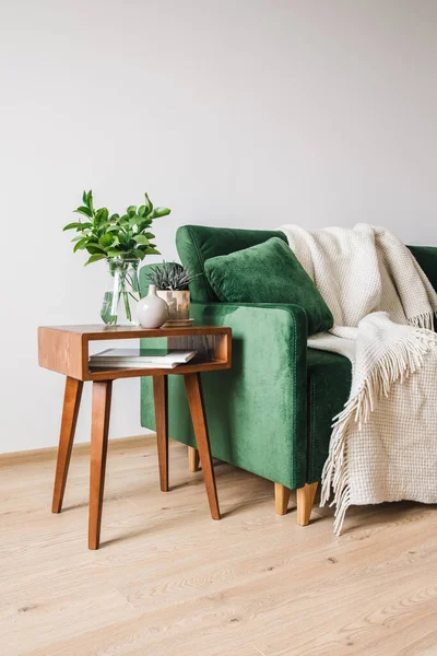 木制咖啡桌旁边的绿色沙发 有枕头和毛毯 还有植物 — 图库照片