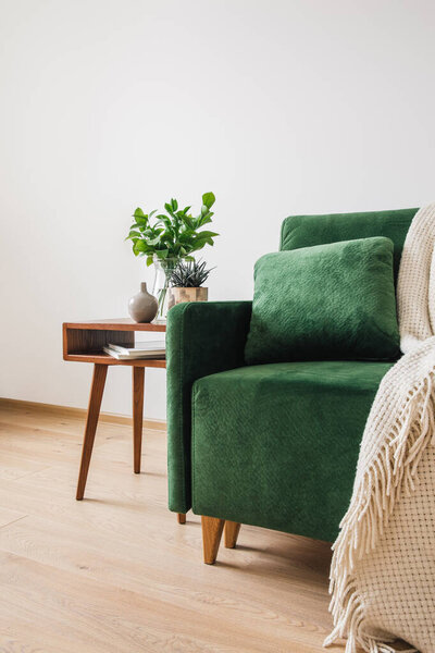 green sofa with pillow and blanket near wooden coffee table with plants 