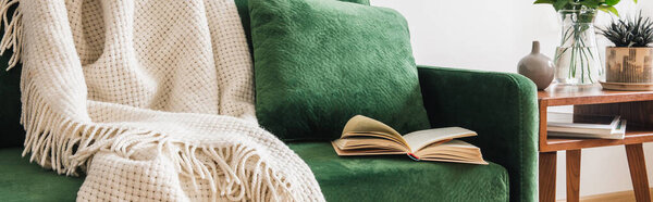 close up view of green sofa with pillow, book and blanket near wooden coffee table with plants, panoramic shot