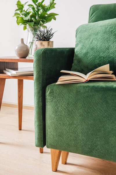 close up view of green sofa with pillow, book and blanket near wooden coffee table with plants 