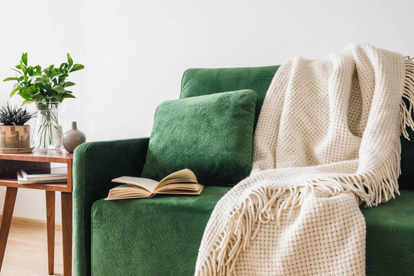 green sofa with pillow, book and blanket near wooden coffee table with plants 