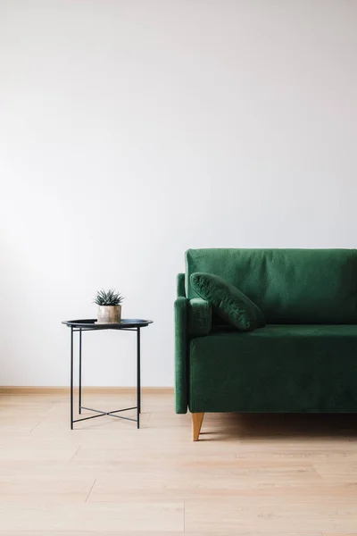 Grünes Sofa Mit Kissen Und Couchtisch Mit Zimmerpflanze — Stockfoto