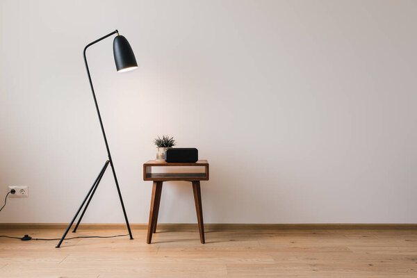 metal floor lamp and wooden coffee table with plant and clock with blank screen