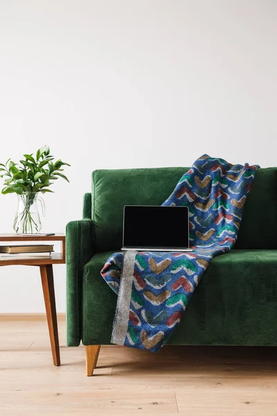 Battaniyeli yeşil kanepe ve laptopun yanında yeşil bitkili ahşap sehpa.
