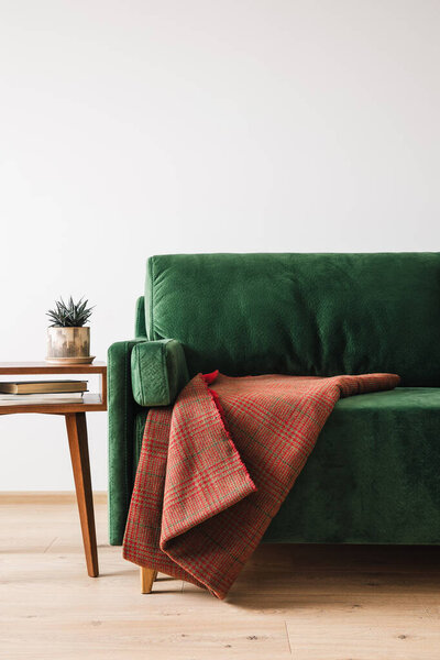 green sofa with blanket near wooden coffee table with plant and books
