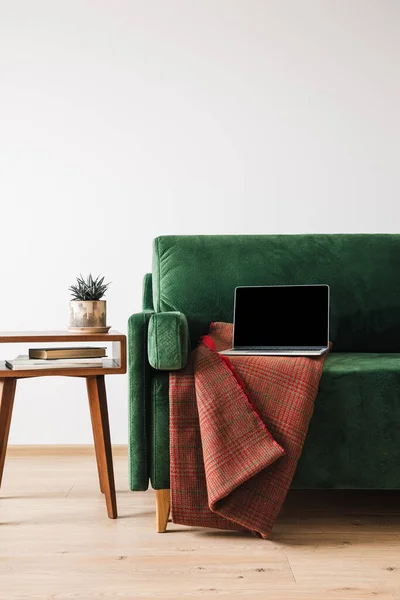 green sofa with blanket and laptop near wooden coffee table with plant and books