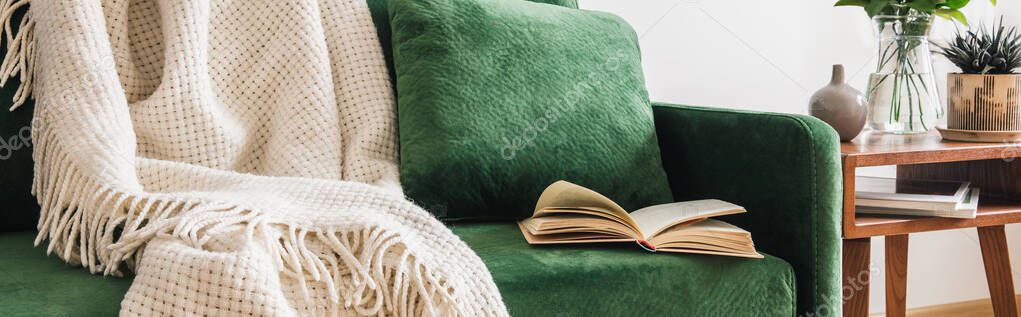 Close up view of green sofa with pillow, book and blanket near wood coffee table with plants, panoramic shot — Stok Gambar Close View Green Sofa Pillow Book Blanket Wood Coffee Table Stok Lukisan