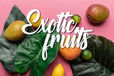 Olgun tropikal turunçgil meyveleri ve pembe arka planda yeşil yapraklı mango ve egzotik meyve resimlerinin üst görüntüsü.