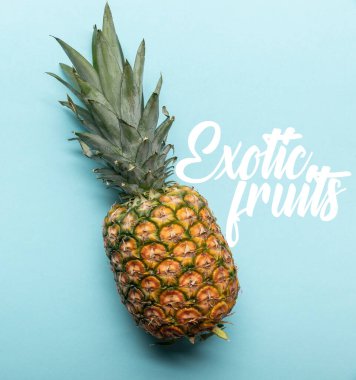 Mavi zemin üzerinde olgun tropikal ananas ve egzotik meyve resimlerinin üst görüntüsü