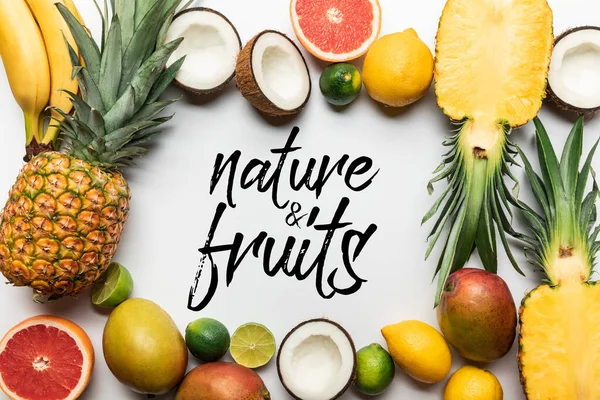 自然と果物のイラストが描かれた白い背景に有機エキゾチックな果物のフレーム — ストック写真