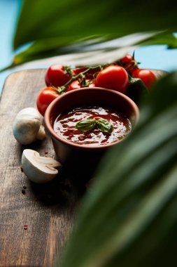 yeşil yaprakların seçici odağı ve ahşap tahtada lezzetli domates sosu mavi arka planda taze olgun sebzeler