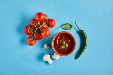 Lezzetli domates sosunun en üst görüntüsü mavi arka planda taze olgun sebzelerin yanında.
