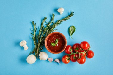 Lezzetli domates sosunun en üst görüntüsü mavi arka planda taze olgun sebzelerin yanında.