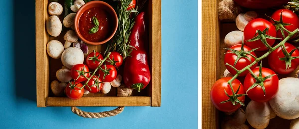 domates sosu kolajı mantarların yanında, kırmızı kiraz domatesleri, biberiye ve biber biberi ahşap kutuda mavi kutuda.