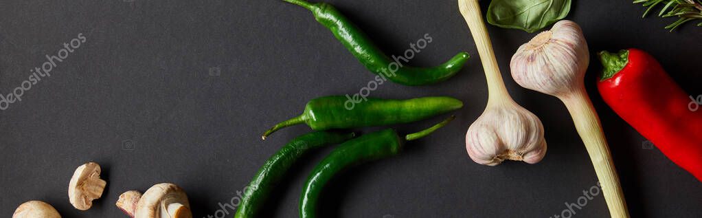 Horizontal image of ripe cherry tomatoes, garlic, rosemary, basil leaves, green chili peppers and mushrooms on black — Stock Image Horizontal Image Ripe Cherry Tomatoes Garlic Rosemary Basil Leaves Green Stock Image