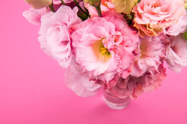 Beautiful pink flowers — Stock Photo