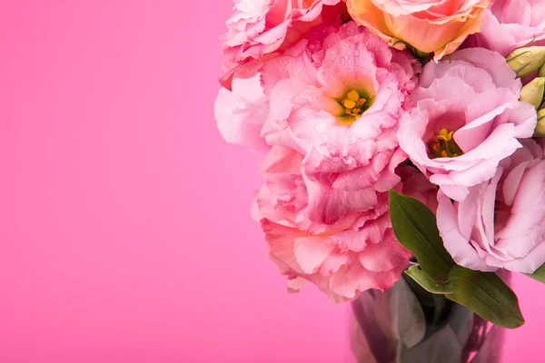 Hermosas flores rosadas - foto de stock