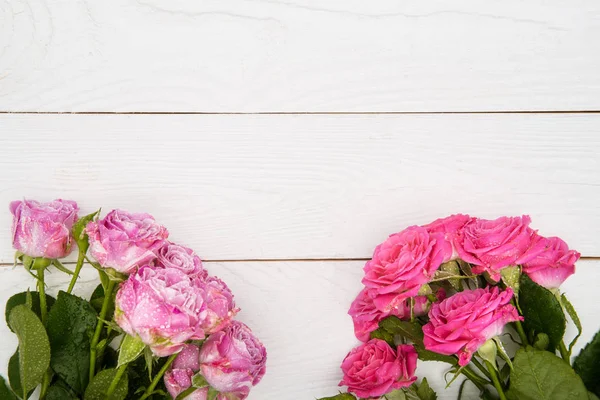 Schöne rosa Rosen — Stockfoto