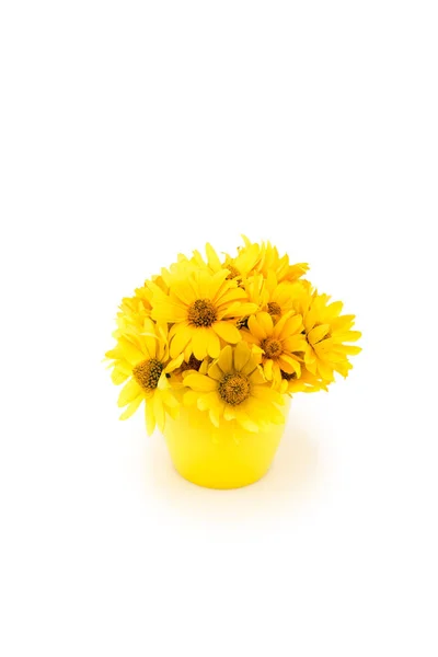 Hermosas flores amarillas - foto de stock