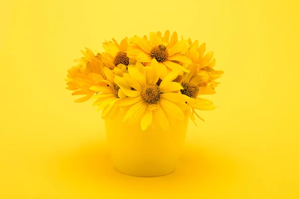 Beautiful yellow flowers — Stock Photo