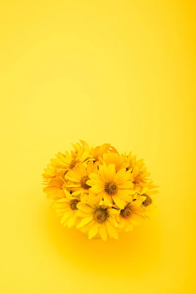 Belles fleurs jaunes — Photo de stock