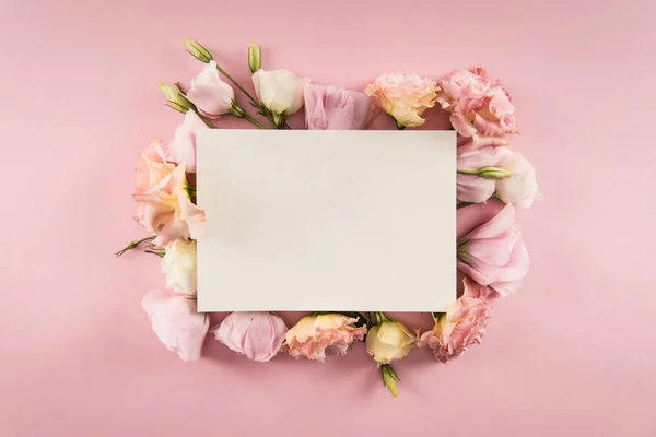 Belles fleurs et carte blanche — Photo de stock