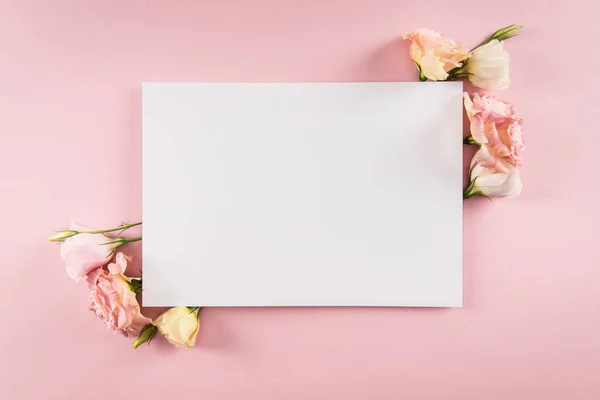Hermosas flores y tarjeta en blanco - foto de stock