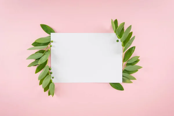 Carte blanche avec feuilles vertes — Photo de stock