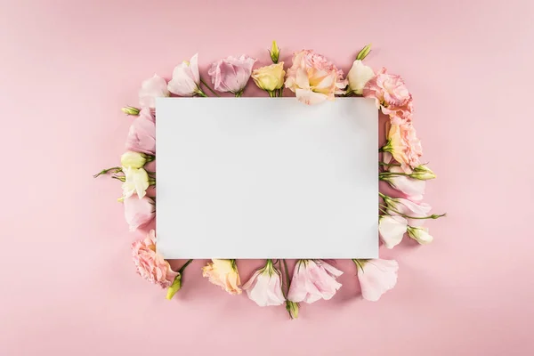 Lindas flores e cartão em branco — Fotografia de Stock