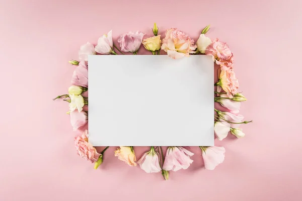 Hermosas flores y tarjeta en blanco - foto de stock