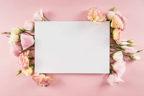 Hermosas flores y tarjeta en blanco - foto de stock