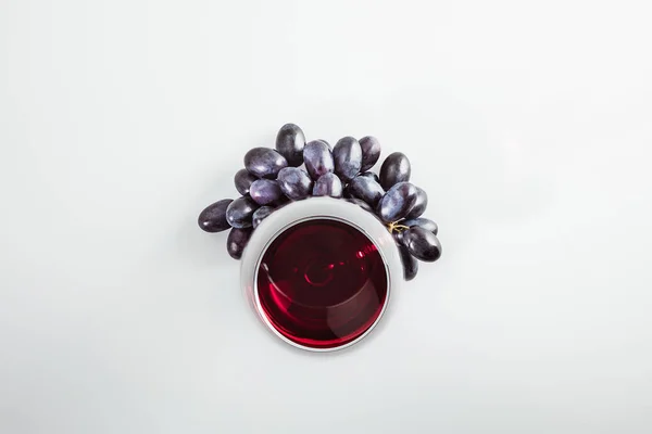 Vino rosso in calice e uva — Foto stock