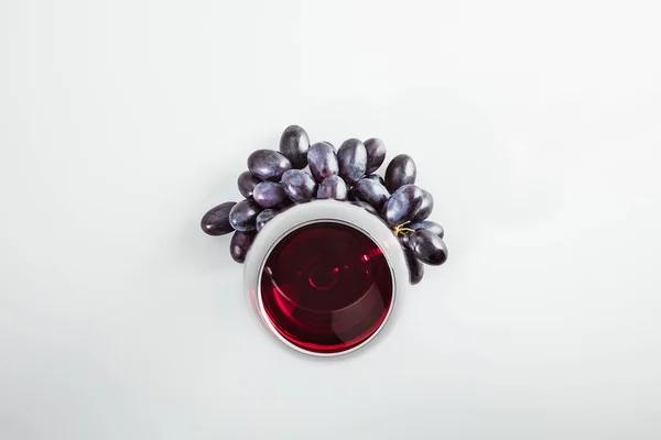 Vino tinto en copa y uvas - foto de stock