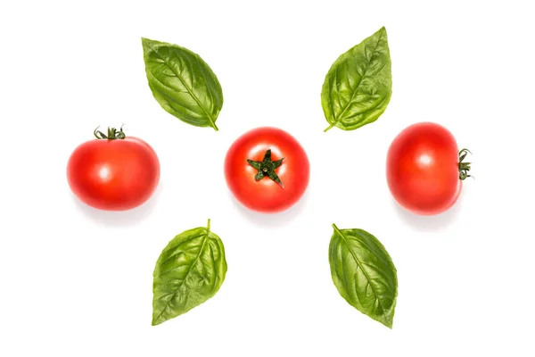 Composition of tomatoes with basil leaves — Stock Photo