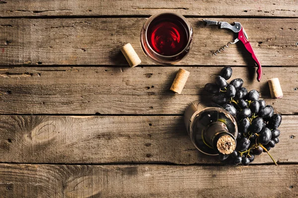 Botella de vino, vino y uvas - foto de stock