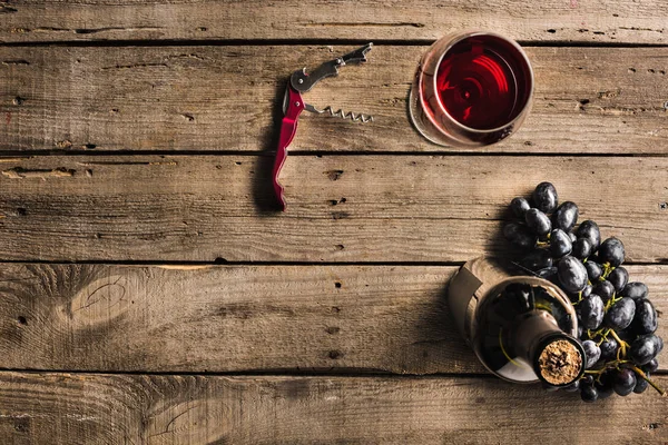 Botella de vino, vino y uvas - foto de stock