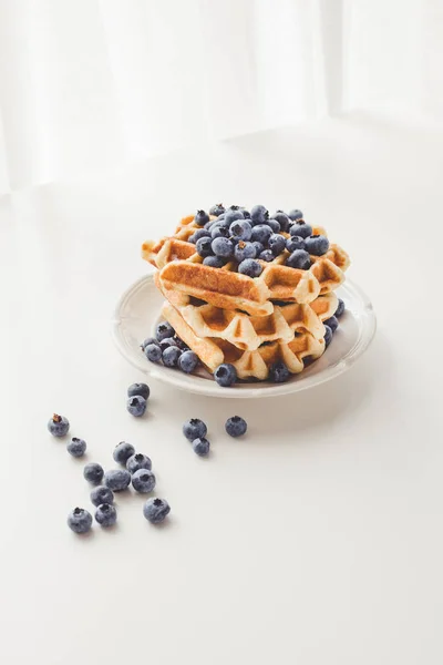 Tasty waffles with blueberries — Stock Photo